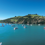 Auckland City / Waiheke Island Day Tour