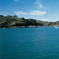 Waiheke Island Afternoon Tour