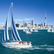 West Coast / Matakana / City Full Day Tour